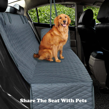 Car Pet Cushions - Rarecars